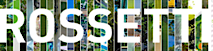 Rossetti