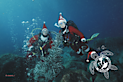 Sa Caleta Tenerife Dive Center