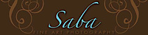 Sabafineart's logo Sabafineart's Company logo