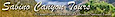 Sabino Canyon Tours's company profile