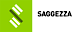 Saggezza's company profile