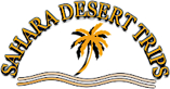 Sahara Desert Trips's logo Sahara Desert Trips's Company logo