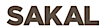 Richard Lin's Competitor - Sakal Real Estate Partners logo