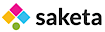 Valo's Competitor - Saketa logo