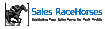 Sales Racehorses