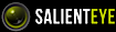 Salient Eye's company profile