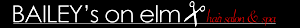 Salon Bailey's's logo Salon Bailey's's Company logo