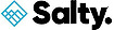 Salty's company profile