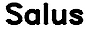 MPS's Competitor - Salus logo