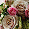 Samantha Jackson Weddings