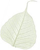 Samanvaya's logo Samanvaya's Company logo