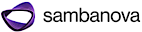 SambaNova