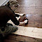 Sanded Floors