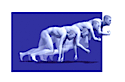 Santiagochiropractic's logo Santiagochiropractic's Company logo