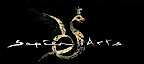 Sapien Arts's logo Sapien Arts's Company logo