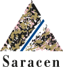 Saracen Mineral Holdings's logo Saracen Mineral Holdings's Company logo
