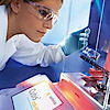 Sartorius Laboratory Products And Solutions
