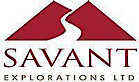 Savant Explorations