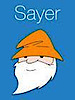 SayerApp's logo SayerApp's Company logo