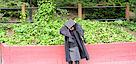 Scholar's Garden Tutoring's logo Scholar's Garden Tutoring's Company logo
