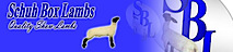 Schuh Box Lambs's logo Schuh Box Lambs's Company logo