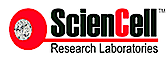 ScienCell Research Laboratories