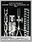 Scientific Glass And Instruments