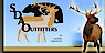 Sda Outfitters