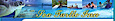 Sea Turtle Inn