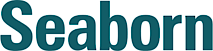 Seaborn Networks Group, Inc.