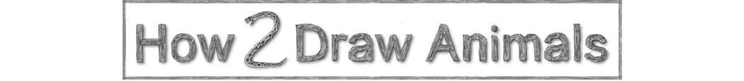 how2drawanimals competitors revenue and employees owler company how2drawanimals