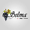 Selma Chrysler Dodge Jeep Ram