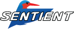 Sentientvisionsystems