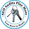 Seo Audits Plus More