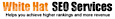 Gerizim Technologies's Competitor - Seoservicespro logo
