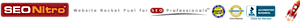Seonitro's logo Seonitro's Company logo