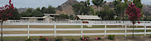 Sequoia Hills Stables
