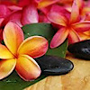 Serenity Day Spa Clovis's logo Serenity Day Spa Clovis's Company logo