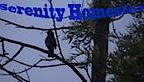 Serenity Homestay's logo Serenity Homestay's Company logo