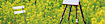 Pamela Jaeger Pamelajaeger's Competitor - Shella E logo