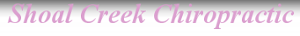 Shoal Creek Chiropractic's logo Shoal Creek Chiropractic's Company logo