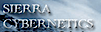 Sierra Cybernetics