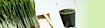 Ucluborlando's Competitor - Signature Web Media logo