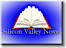 Silicon Valley Novel