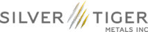 Silver Tiger's logo Silver Tiger's Company logo