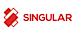 Singular Group