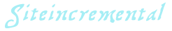 Siteincremental's logo Siteincremental's Company logo