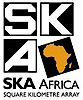 Ska South Africa's logo Ska South Africa's Company logo