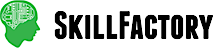 SkillFactory's logo SkillFactory's Company logo