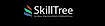 SkillTree's company profile